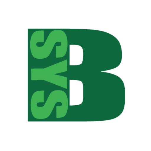 b-sys logo